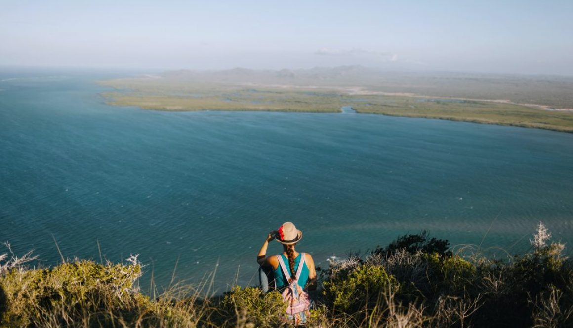 pexels-julia-volk-5273192